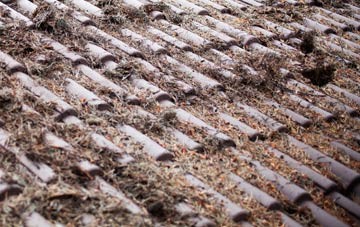 Venny Tedburn roof cleaning companies