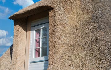 Venny Tedburn thatch roof disadvantages